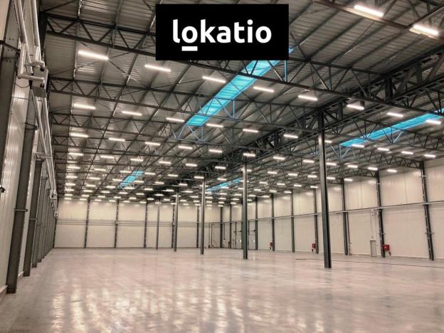 Pronájem skladu, Bílina, 3504 m2