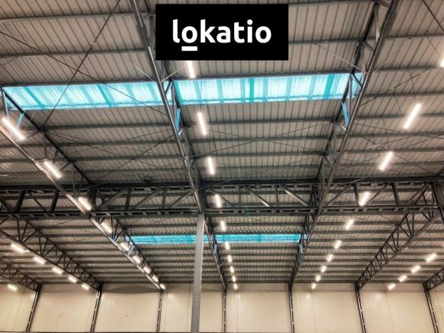 Pronájem skladu, Bílina, 3504 m2