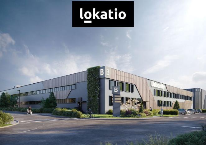 Pronájem skladu, Tachov, Oldřichovská, 13500 m2