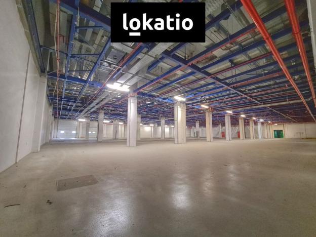 Pronájem skladu, Hranice, 10080 m2