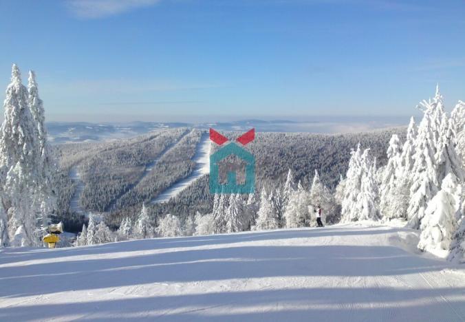 Prodej bytu 3+1, Nová Pec - Nové Chalupy, 76 m2