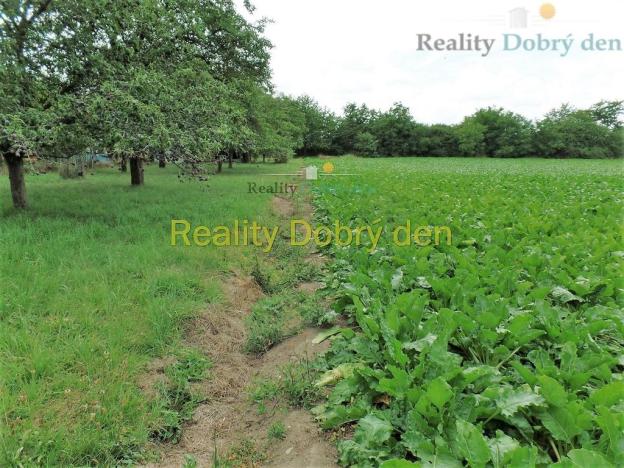 Prodej pozemku pro bydlení, Opava, Na Dolní hrázi, 1129 m2