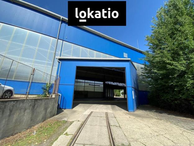 Pronájem výrobních prostor, Brno, 5100 m2