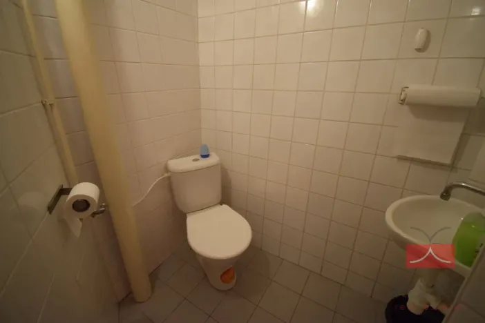 Prodej komerční nemovitosti, Ledeč nad Sázavou, Mlýnská, 310 m2