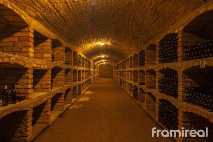 Prodej restaurace, Šatov, 1593 m2