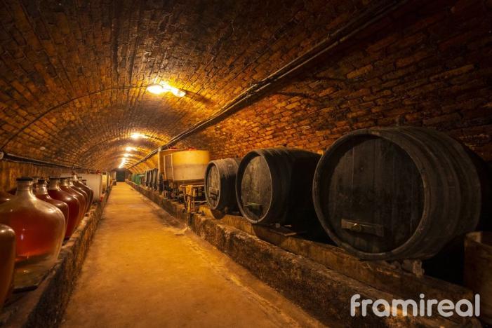 Prodej restaurace, Šatov, 1593 m2