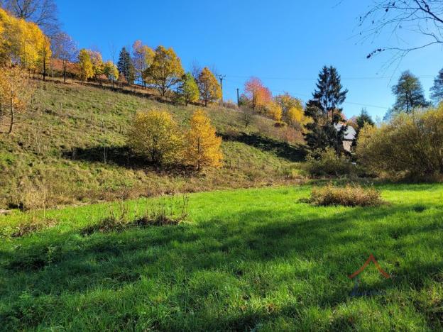 Prodej pozemku pro bydlení, Heřmánkovice, 4496 m2