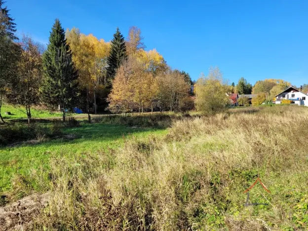 Prodej pozemku pro bydlení, Heřmánkovice, 4496 m2