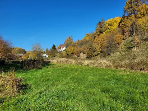 Prodej pozemku pro bydlení, Heřmánkovice, 4996 m2