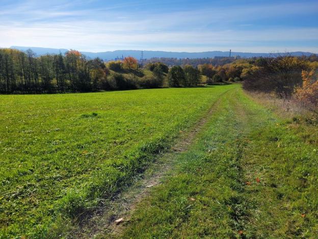 Prodej louky, Broumov, 52559 m2