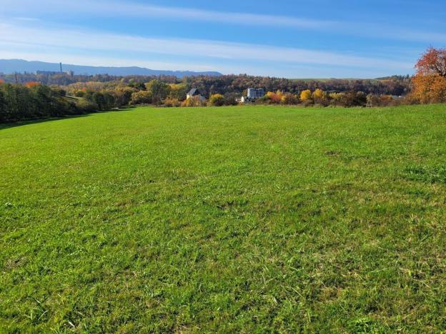 Prodej louky, Broumov, 52559 m2