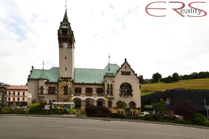 Prodej ubytování, Rokytnice nad Jizerou - Horní Rokytnice, 269 m2