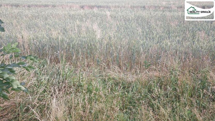 Prodej pozemku pro komerční výstavbu, Mariánské Lázně, Plzeňská, 27272 m2