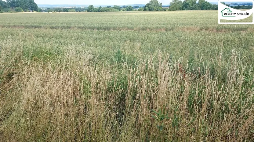 Prodej pozemku pro komerční výstavbu, Mariánské Lázně, Plzeňská, 27272 m2
