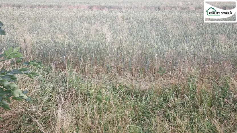 Prodej pozemku pro komerční výstavbu, Mariánské Lázně, Plzeňská, 27272 m2