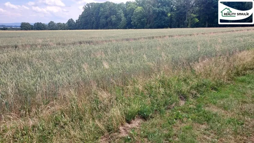 Prodej pozemku pro komerční výstavbu, Mariánské Lázně, Plzeňská, 27272 m2