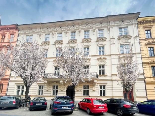 Pronájem bytu 5+kk, Brno - Veveří, Jaselská, 300 m2