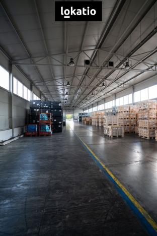 Pronájem skladu, Bílina, Důlní, 900 m2