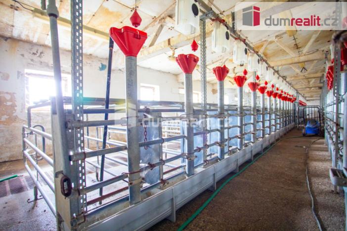 Prodej zemědělského objektu, Majdalena, 18720 m2