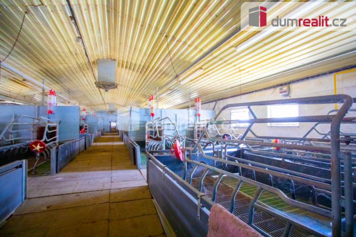 Prodej zemědělské půdy, Majdalena, 18720 m2