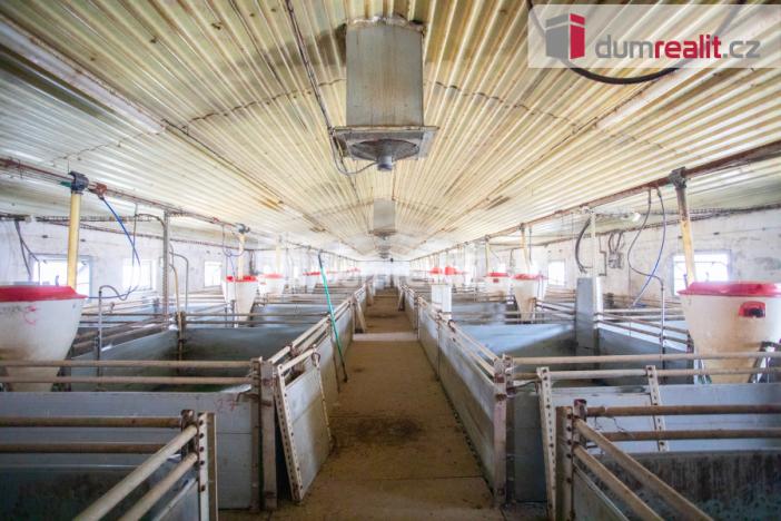 Prodej zemědělské půdy, Majdalena, 18720 m2