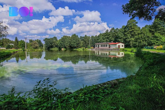 Prodej pozemku pro bydlení, Bystřice, 4896 m2