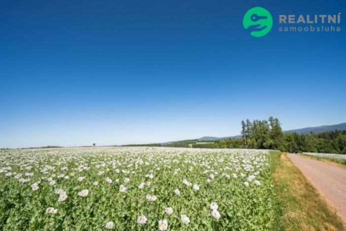 Prodej zemědělské půdy, Prosečné, 40000 m2