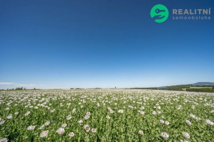 Prodej zemědělské půdy, Prosečné, 40000 m2