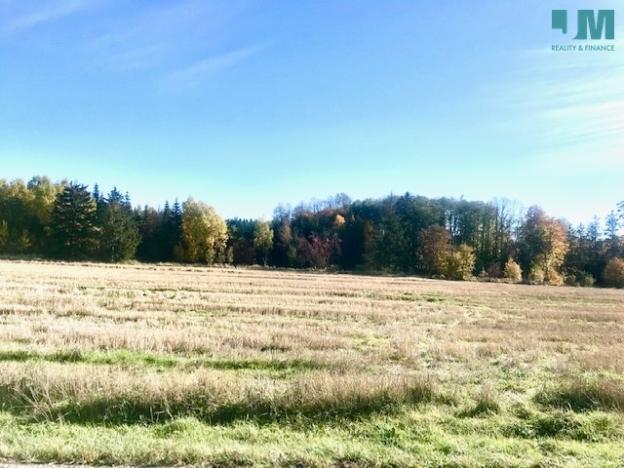 Prodej pozemku pro komerční výstavbu, Želetava - Šašovice, 1354 m2