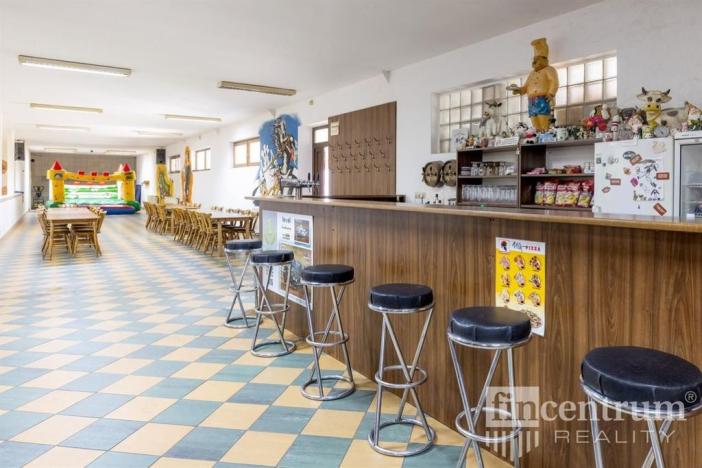 Prodej komerční nemovitosti, Křenice - Přetín, 1698 m2