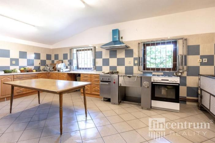 Prodej komerční nemovitosti, Křenice - Přetín, 1698 m2