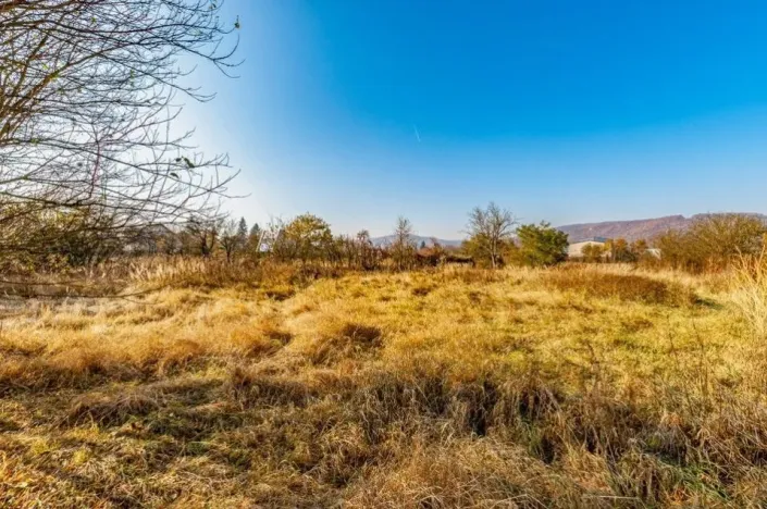 Prodej rodinného domu, Dobřichovice, Randova, 262 m2