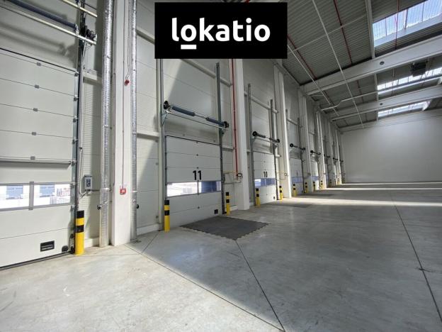 Pronájem skladu, Ostrava - Vítkovice, 5195 m2