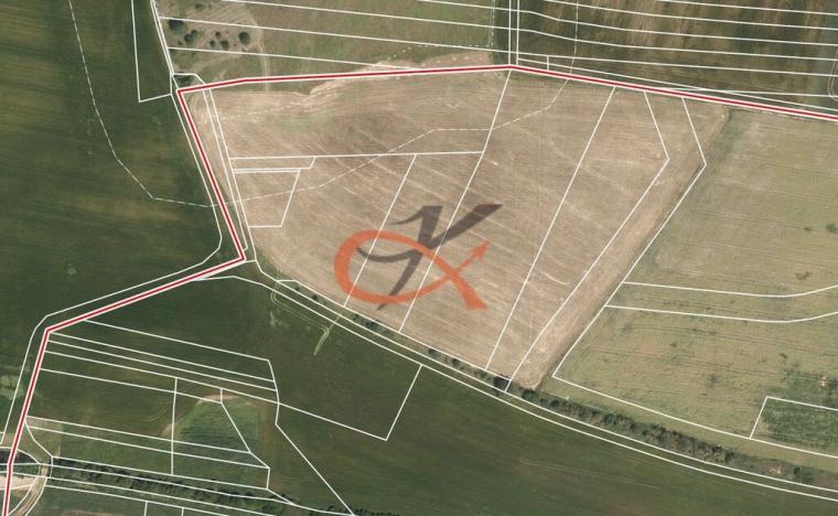 Prodej trvalého travního porostu, Plumlov, 339 m2