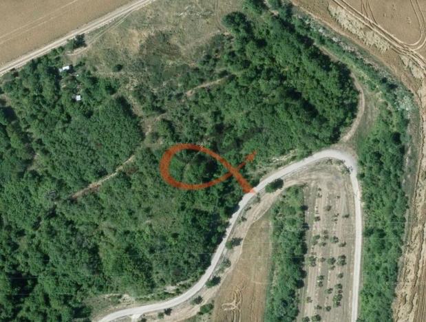 Prodej sadu/vinice, Dambořice, 1911 m2