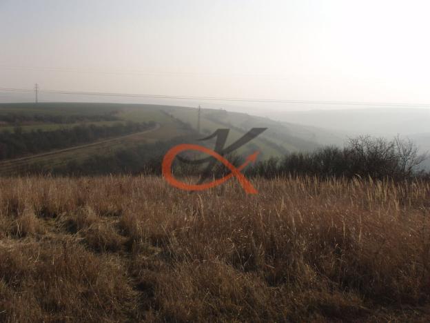 Prodej sadu/vinice, Dambořice, 1911 m2