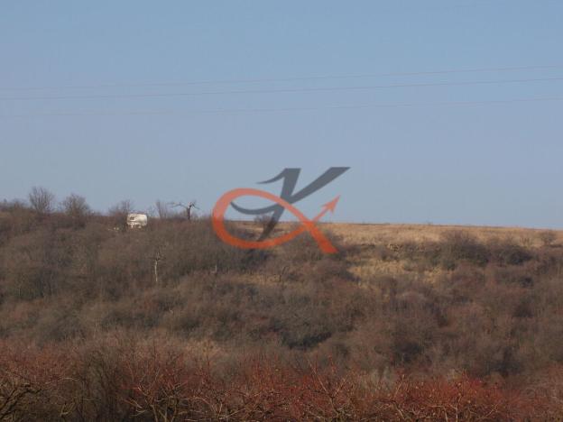 Prodej sadu/vinice, Dambořice, 1911 m2