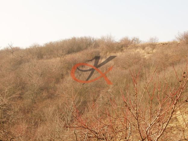 Prodej sadu/vinice, Dambořice, 1911 m2