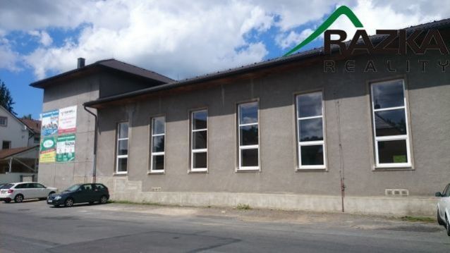 Pronájem výrobních prostor, Tachov, Prokopa Velikého, 658 m2