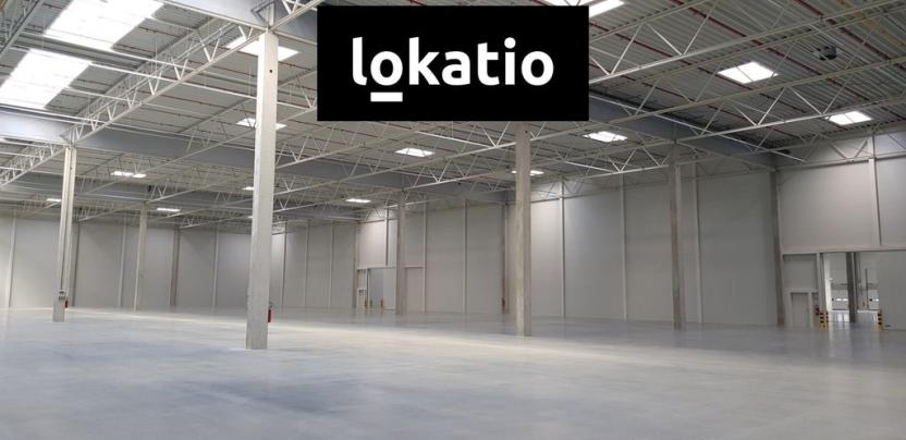 Pronájem skladu, Údlice, 5000 m2
