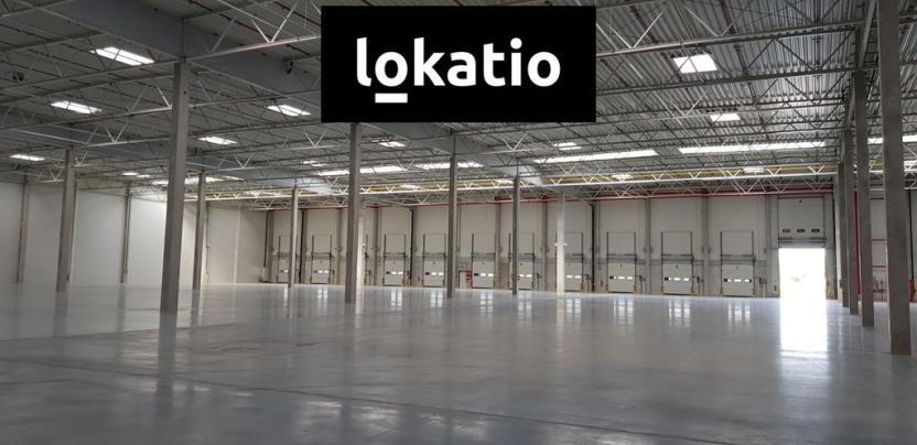 Pronájem skladu, Údlice, 40600 m2
