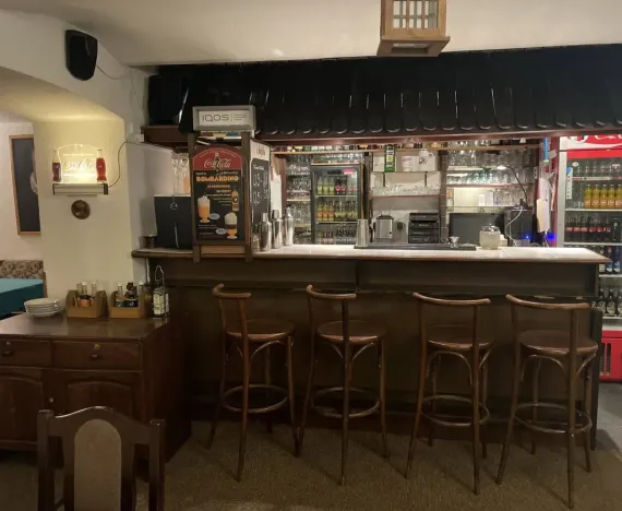 Prodej ubytování, Loučná pod Klínovcem - Háj, 514 m2