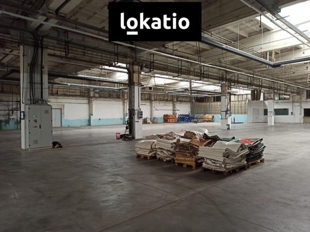 Pronájem skladu, Jihlava, 3353 m2