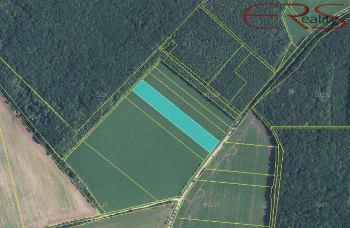 Prodej zemědělské půdy, Smidary - Chotělice, 18591 m2