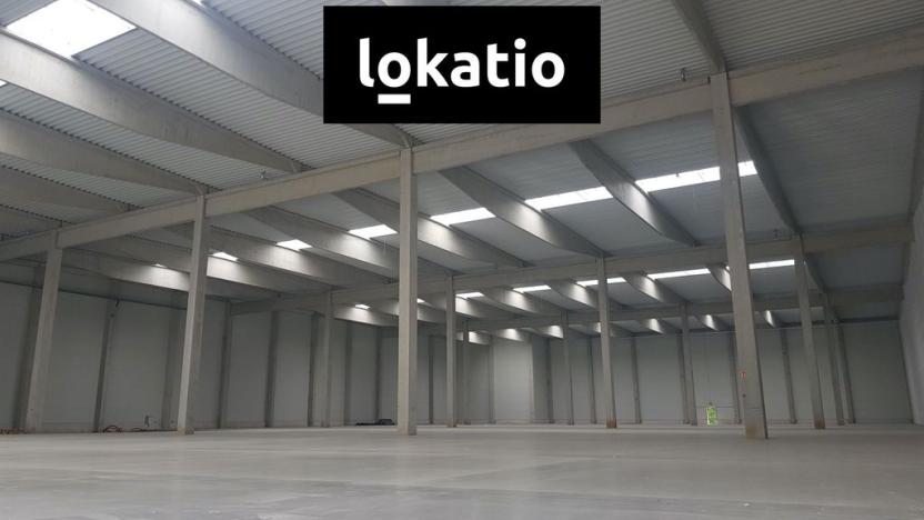 Pronájem skladu, Přimda - Mlýnec, 5000 m2