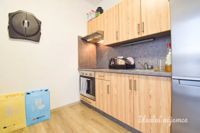 Pronájem bytu 1+kk, Brno, Svitavská, 29 m2