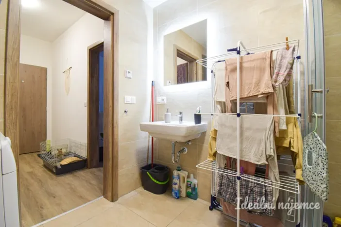 Pronájem bytu 1+kk, Brno, Svitavská, 29 m2