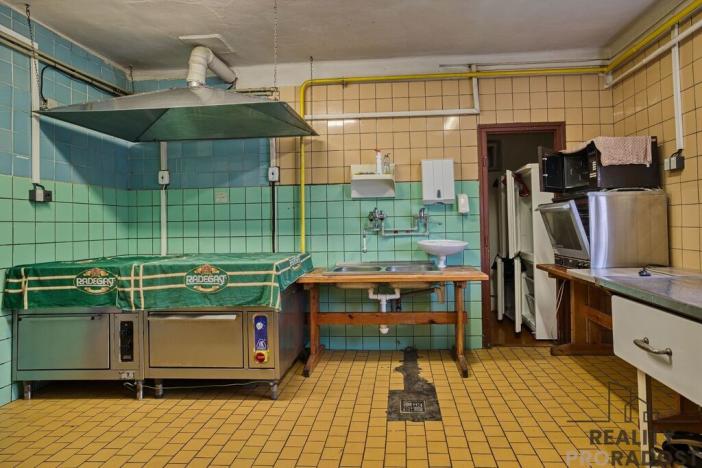 Prodej ubytování, Budišov nad Budišovkou, Československé armády, 290 m2