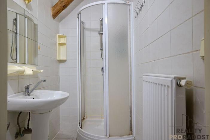 Prodej ubytování, Budišov nad Budišovkou, Československé armády, 290 m2