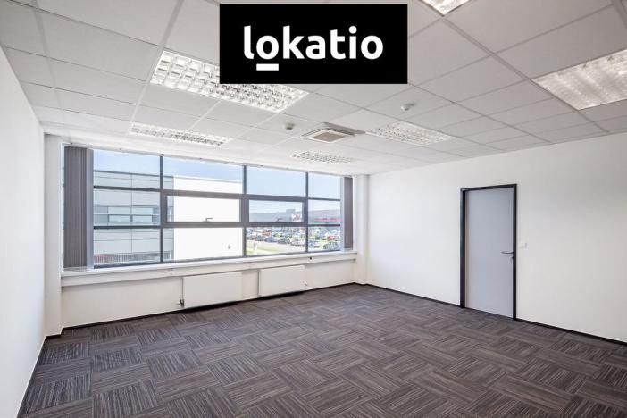 Pronájem skladu, Žatec, 20000 m2